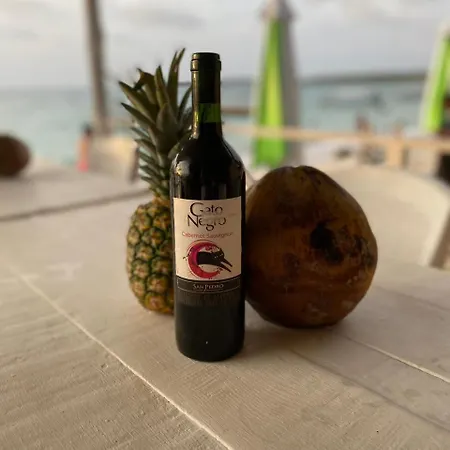 Chamos Pensión Cartagena