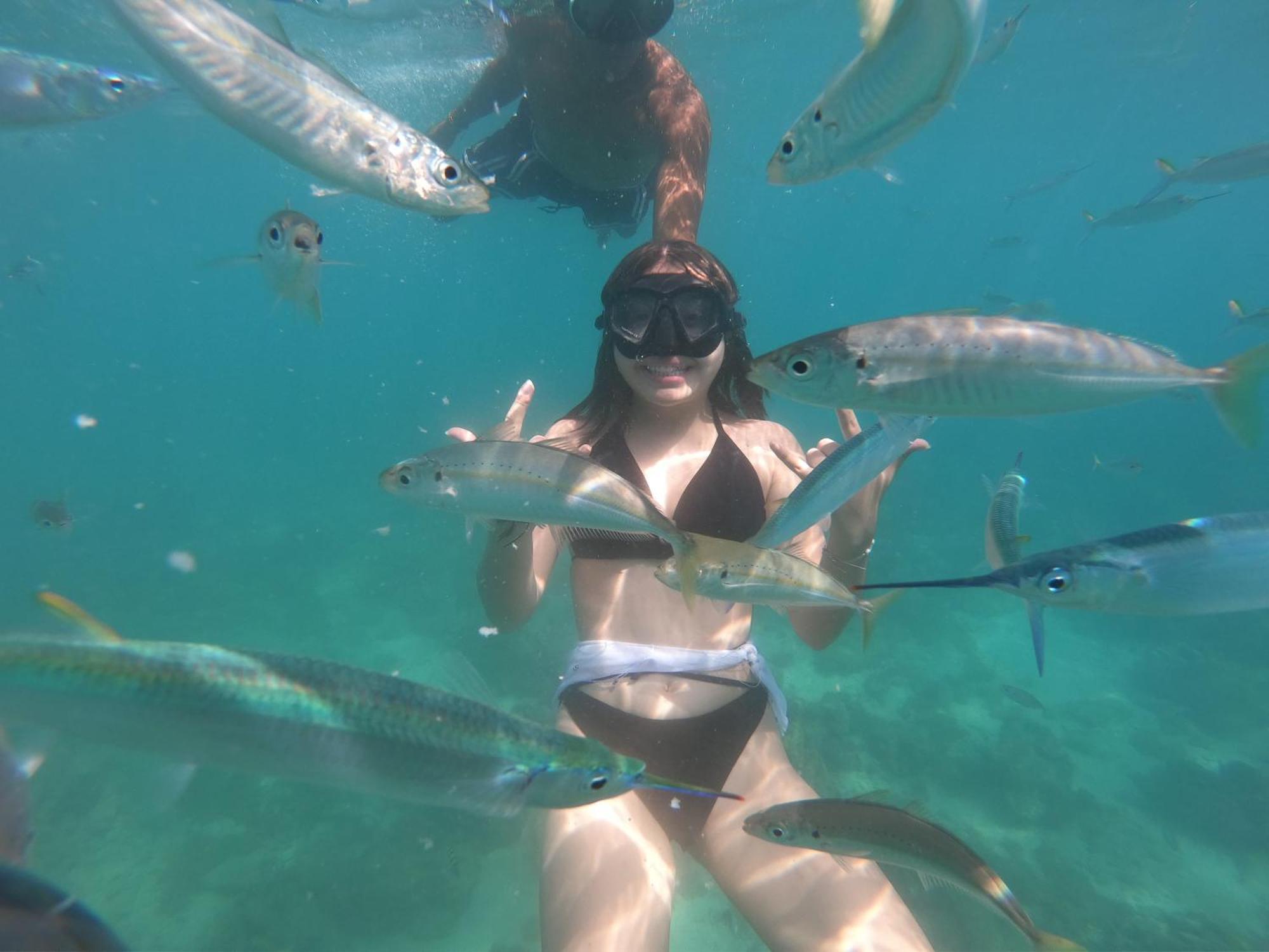 Guest house Chamos Cartagena